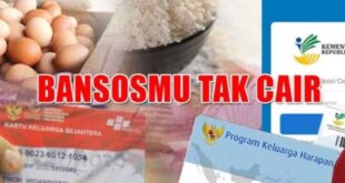 Cara Cek Bantuan PKH BPNT 2025