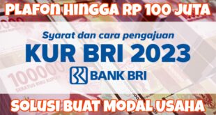 KUR BRI 2025 300 Juta