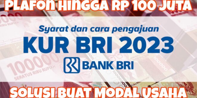 KUR BRI 2025 300 Juta