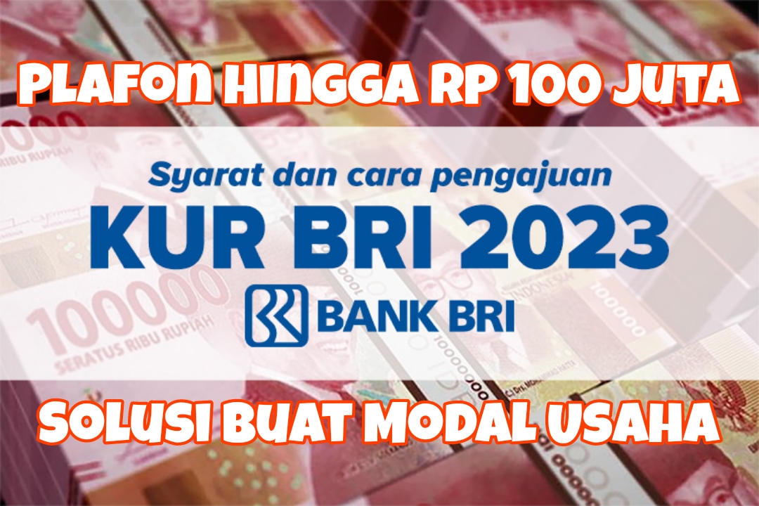 KUR BRI 2025 300 Juta