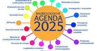 Bantuan Duit 2025