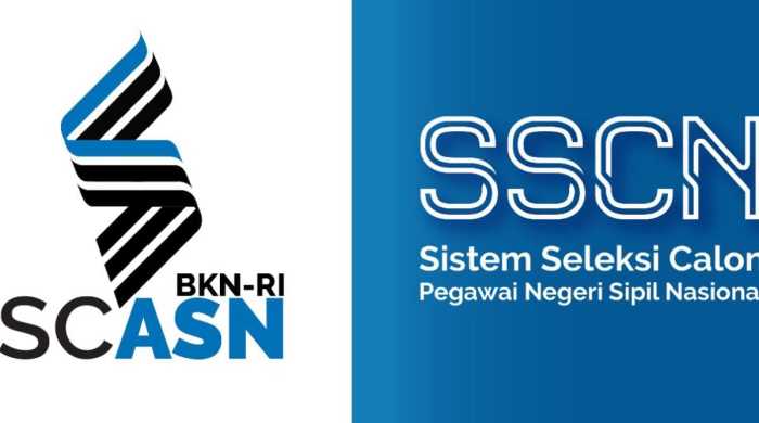 Tes CPNS 2025