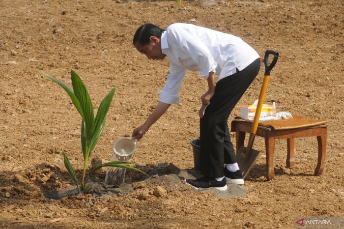 Bantuan Beras Tahun 2025