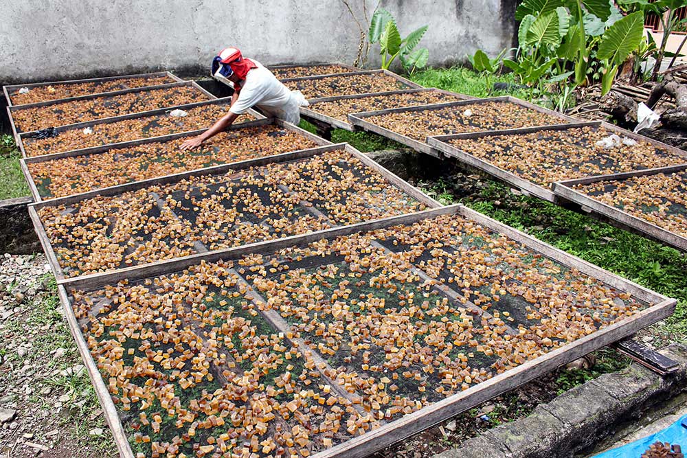 Pinjaman KUR 2025 Kapan Dibuka