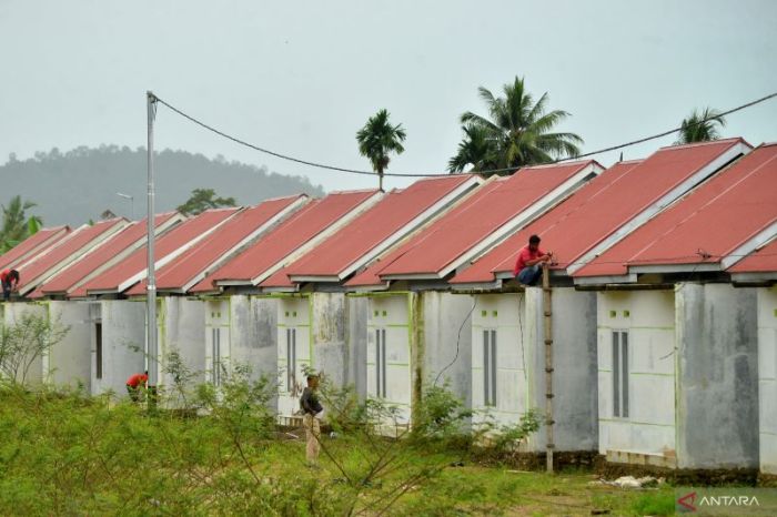 Pro dan Kontra Rencana Penyesuaian Tarif Listrik di Tahun 2025