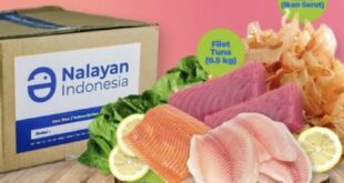 Breastfeeding breastfeed indonesia mothers kidshealth bahasa