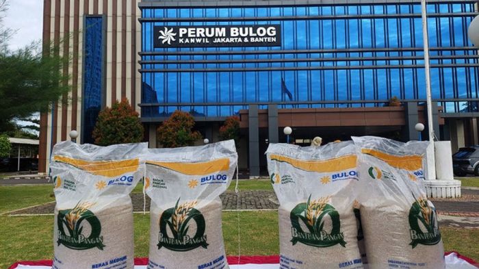 Bantuan Beras 10 Kg Bulan Mei 2025 Kapan Cair