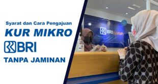Bunga KUR Mikro BRI 2025