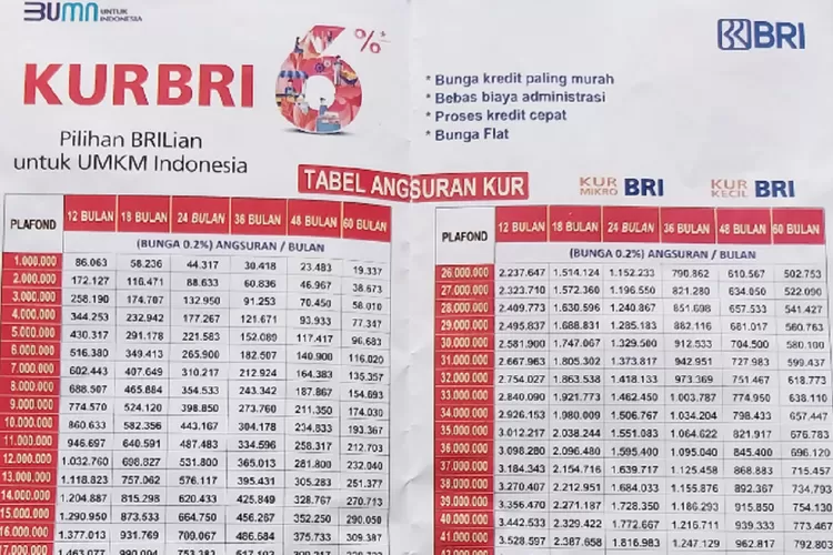 KUR BRI 2025 Musiman 6 Bulan