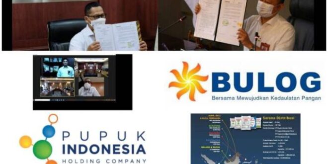 Bantuan Beras Bulog 2025
