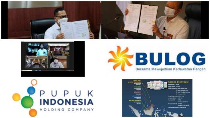 Bantuan Beras Bulog 2025
