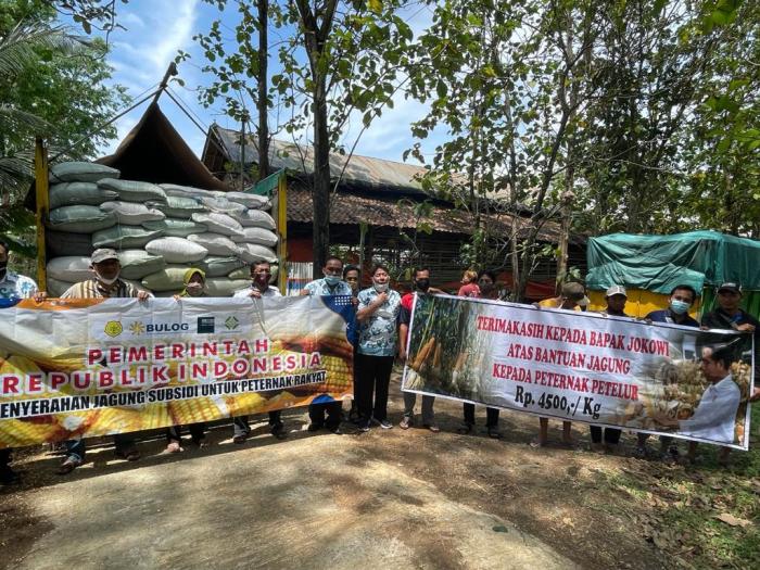 Cek Bantuan Bulog 2025