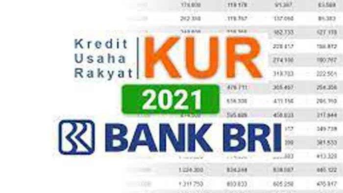 KUR BRI Co Id Daftar Online 2025 Terbaru