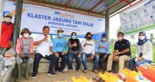 Persyaratan BRI KUR 2025