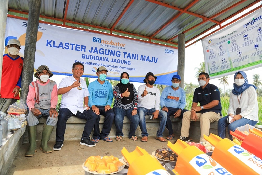Persyaratan BRI KUR 2025