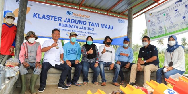 Persyaratan Pinjam KUR BRI 2025