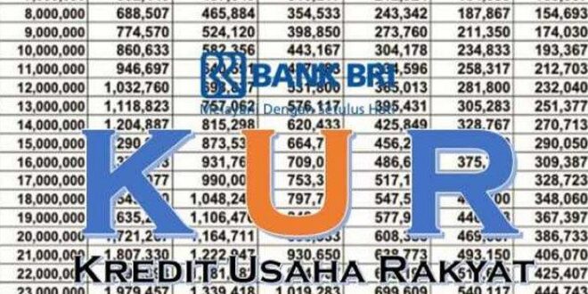 Cara Daftar KUR BRI Online 2025 Lewat Hp