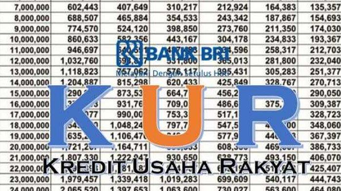 Cara Daftar KUR BRI Online 2025 Lewat Hp
