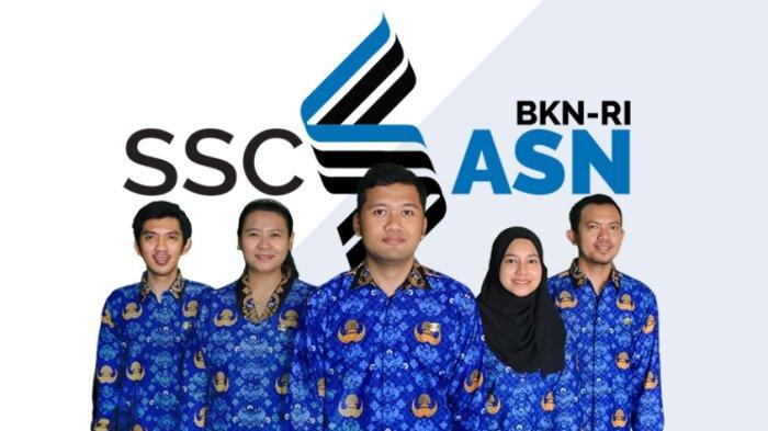 Pengumuman CPNS 2025