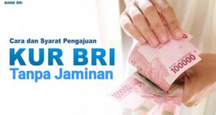 50 Juta 50 Juta Brosur KUR BRI 2025
