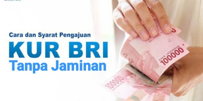 50 Juta 50 Juta Brosur KUR BRI 2025