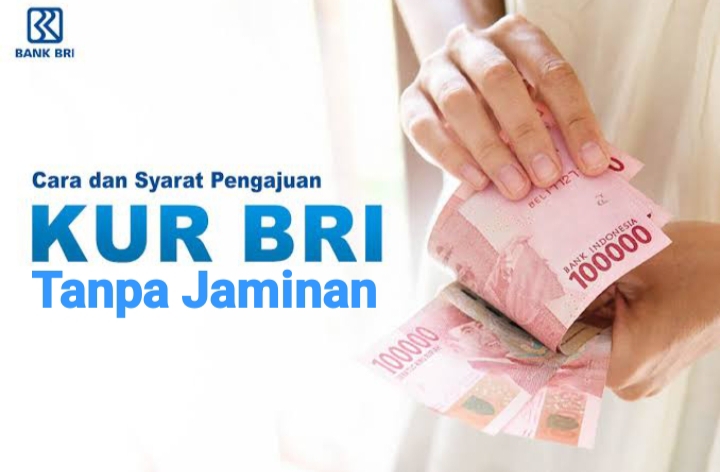 50 Juta 50 Juta Brosur KUR BRI 2025