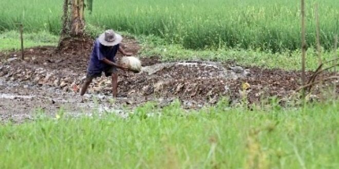 Kapan Bantuan El Nino Cair Lagi 2025