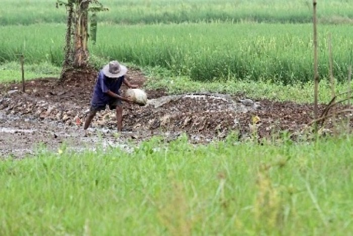 Bantuan El Nino 2025 Kapan Cair Tanggal Berapa?
