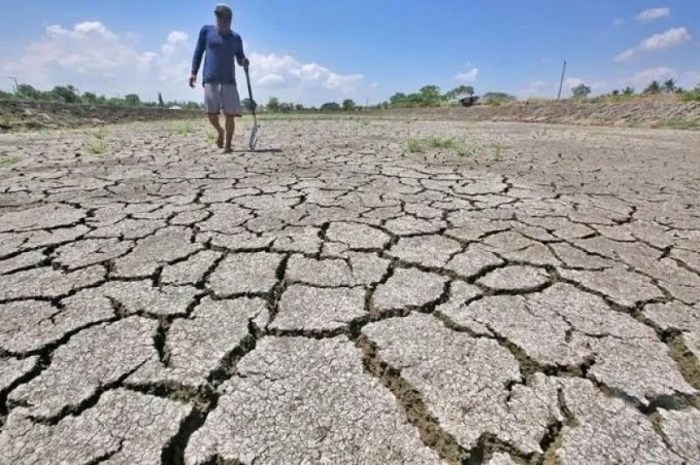 Bantuan El Nino Tahun 2025 Kapan Cair