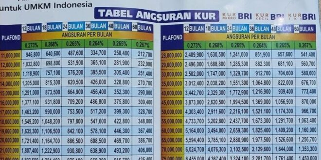 Tabel Angsuran KUR BRI 2025 Plafon 500 Juta