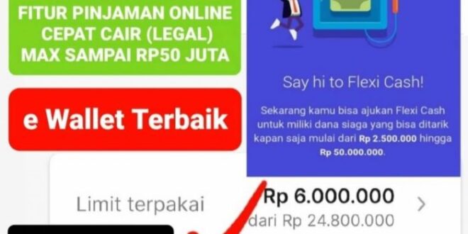 Bantuan E Wallet 2025 Terbaru