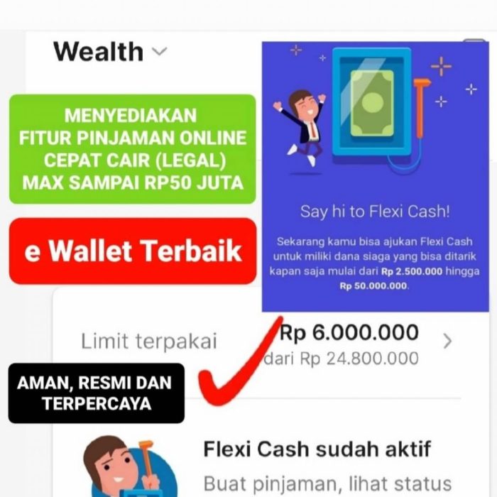 Bantuan E Wallet 2025 Terbaru