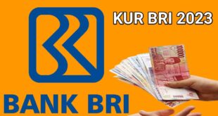 Data Angsuran BRI KUR 2025