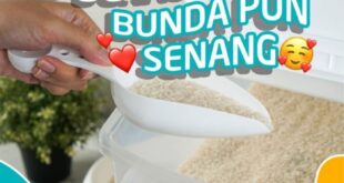 Penerima Bantuan Beras 10 Kg 2025