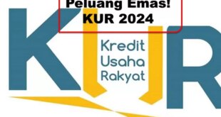 Kenapa KUR BRI Ditutup 2025