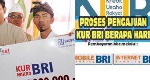 Persyaratan Pinjaman BRI Non KUR 2025