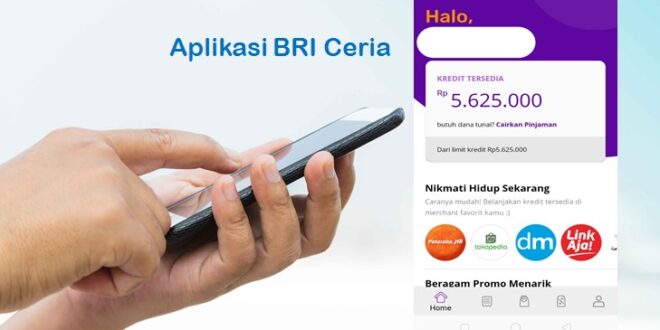 Browser Dana KUR BRI 2025
