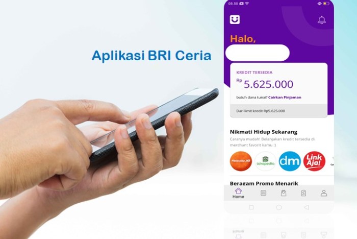 Cara Cek Bantuan Simpel Bri Lewat Hp 2025
