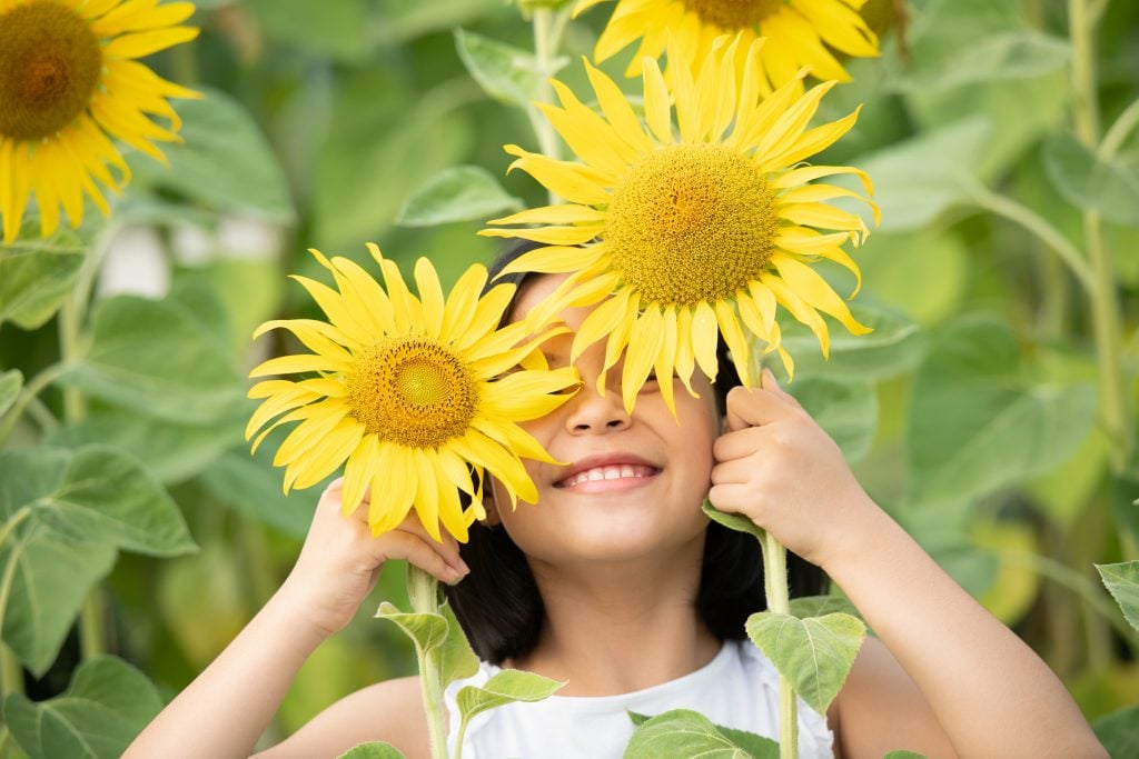 Education excellent holidays enjoy during way school Education excellent holidays enjoy during way school