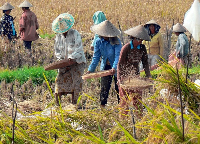 Program Bantuan Beras 2025