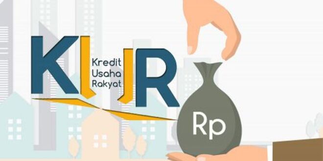 Bunga KUR BRI 2025 50 Juta
