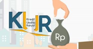 KUR BRI 2025 50 Juta 3 Tahun