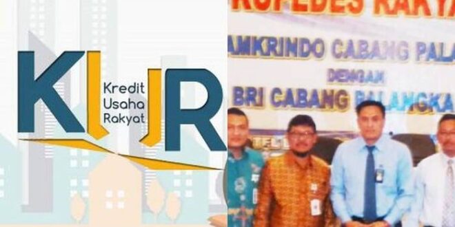 KUR Kupra BRI 2025