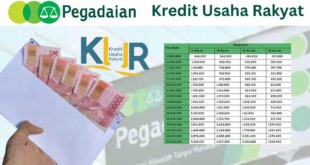 KUR Pegadaian 50 Juta 2025