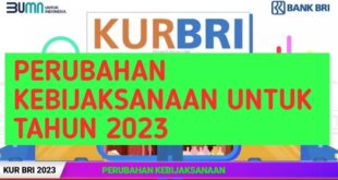 KUR BRI Kecil 2025