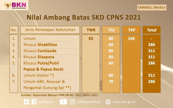 Passing Grade CPNS 2025