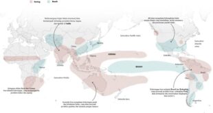 Cara Cek Bantuan El Nino 2025