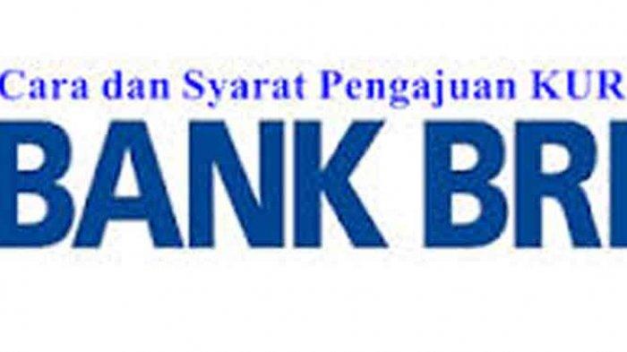 Kur bri usaha daftar surat keterangan syarat pontianak tribunpontianak istimewa KUR BRI Co Id 2025