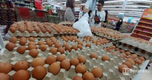 Bantuan Beras Bulan Februari 2025
