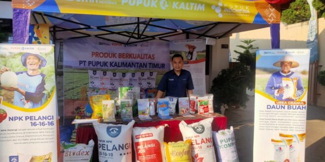 KUR BRI Palembang 2025